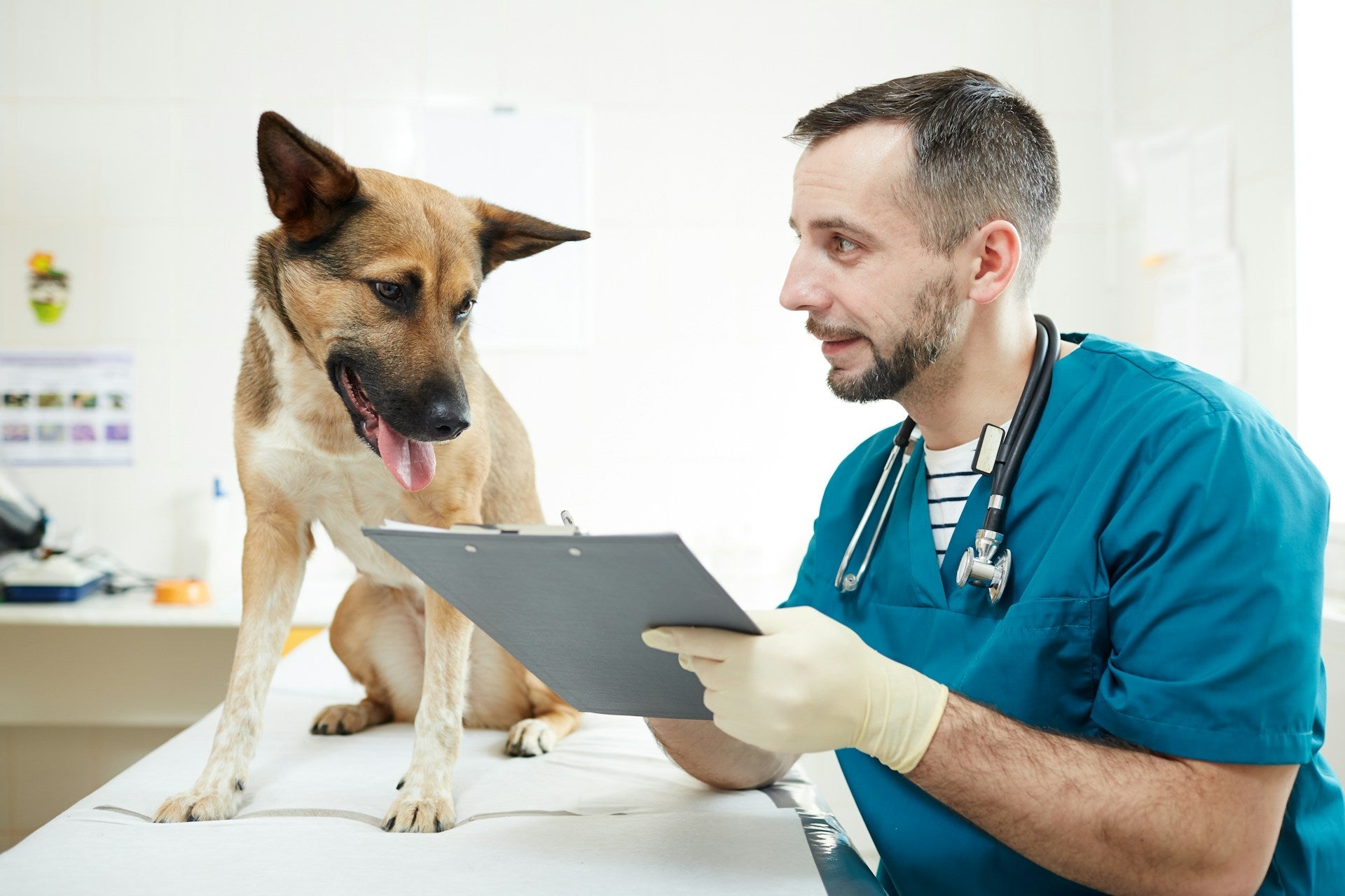 Veterinary Practice