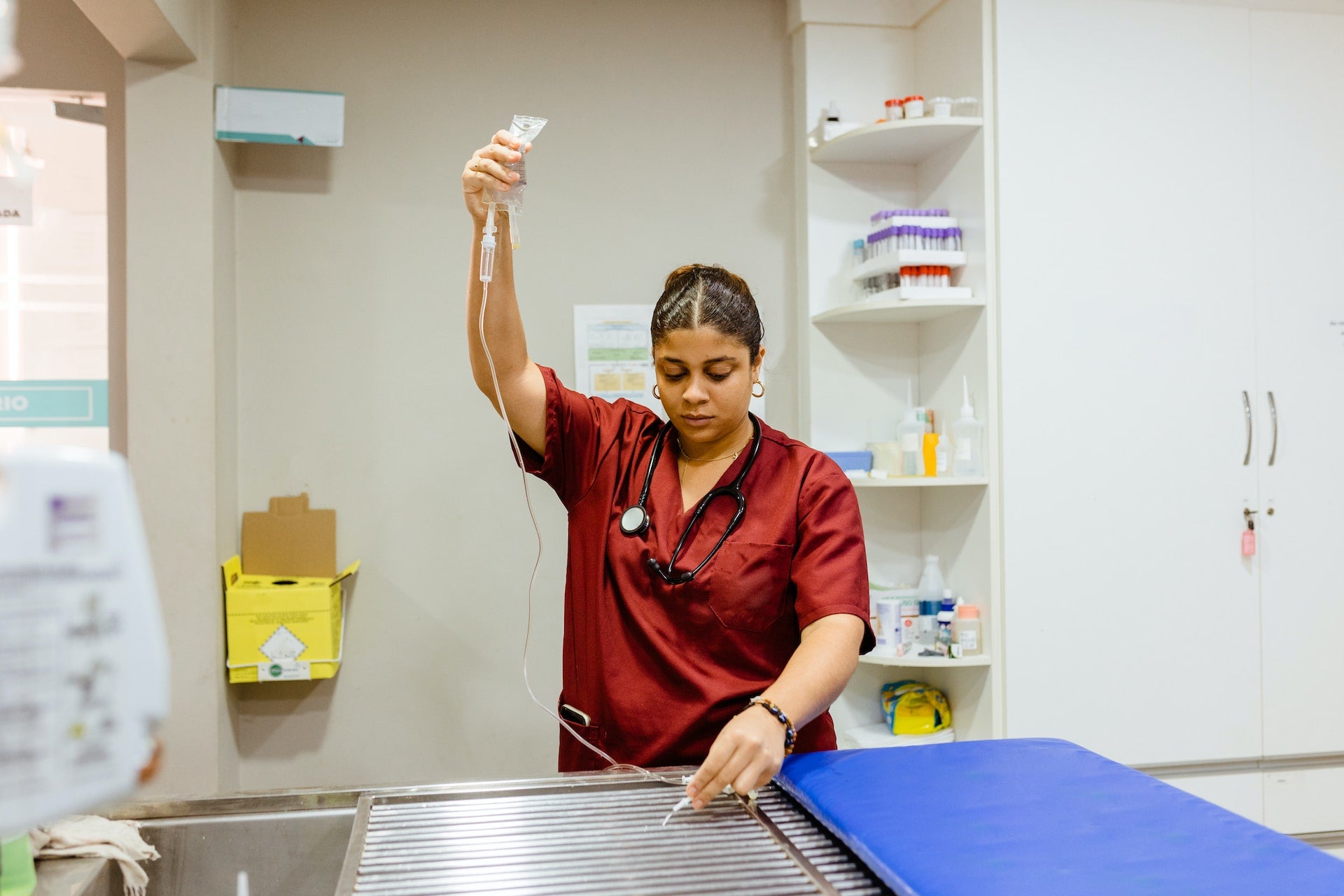 The Impact of Proper Suture Techniques in Veterinary Surgery