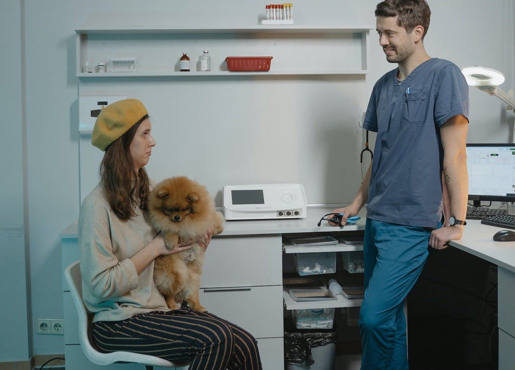 Unleashing the Benefits of Saddle Stools in Veterinary Clinics for Enhanced Comfort and Efficiency