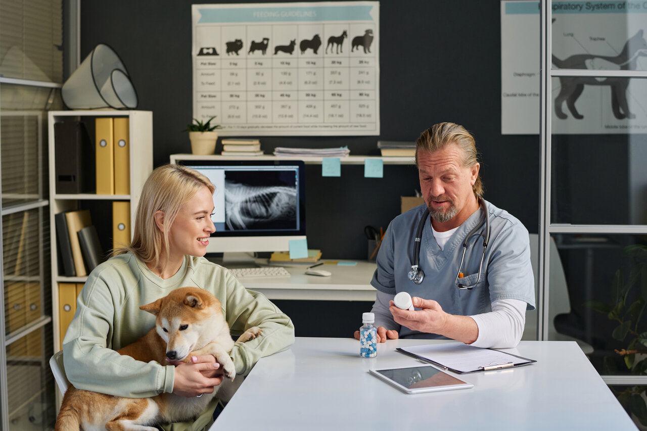 veterinary professional