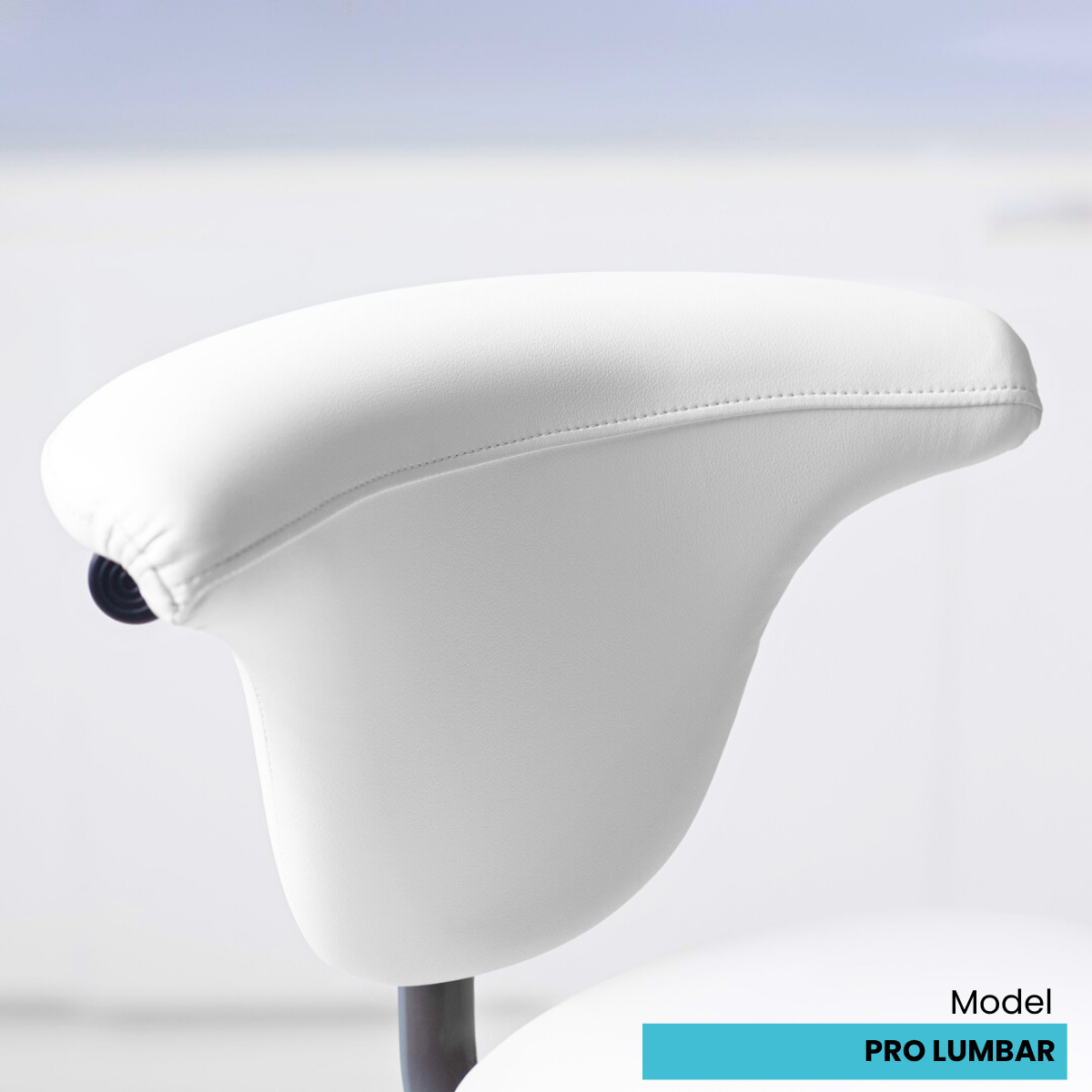 SADDLE STOOLS - SHOP CANADA π¨π¦