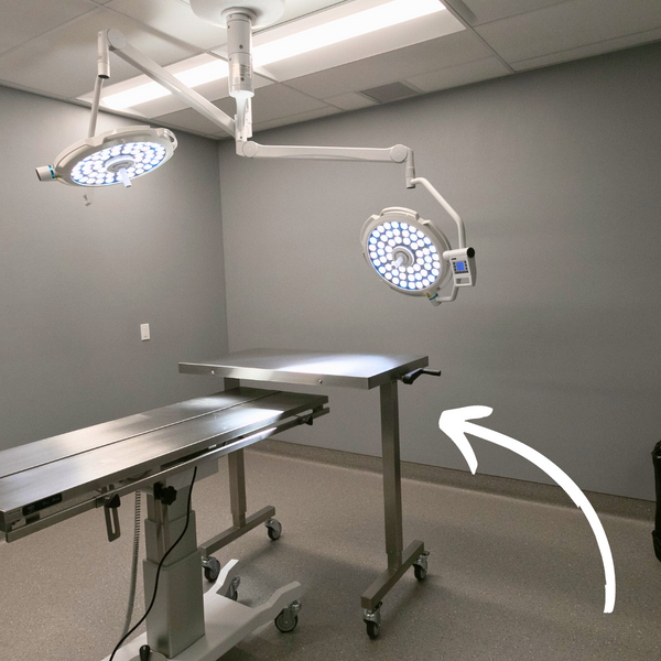 Table à instruments au-dessus du patient (TIAP)