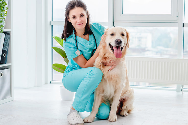 Benefits of building a veterinary practice from scratch