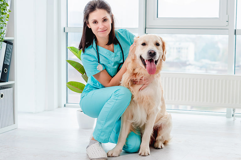 5 Benefits of Building a Veterinary Practice From Scratch ProNorth