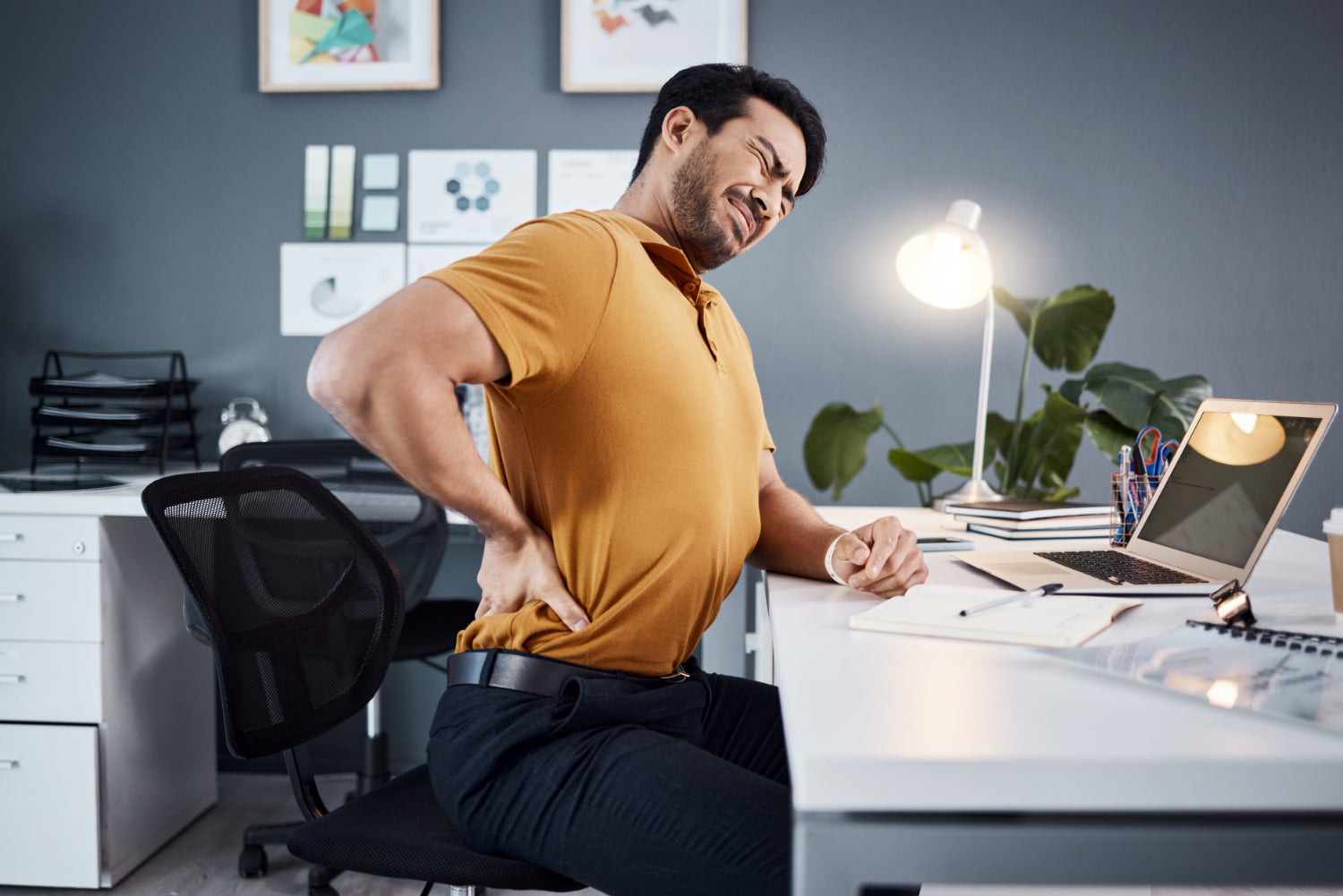 back pain saddle stool