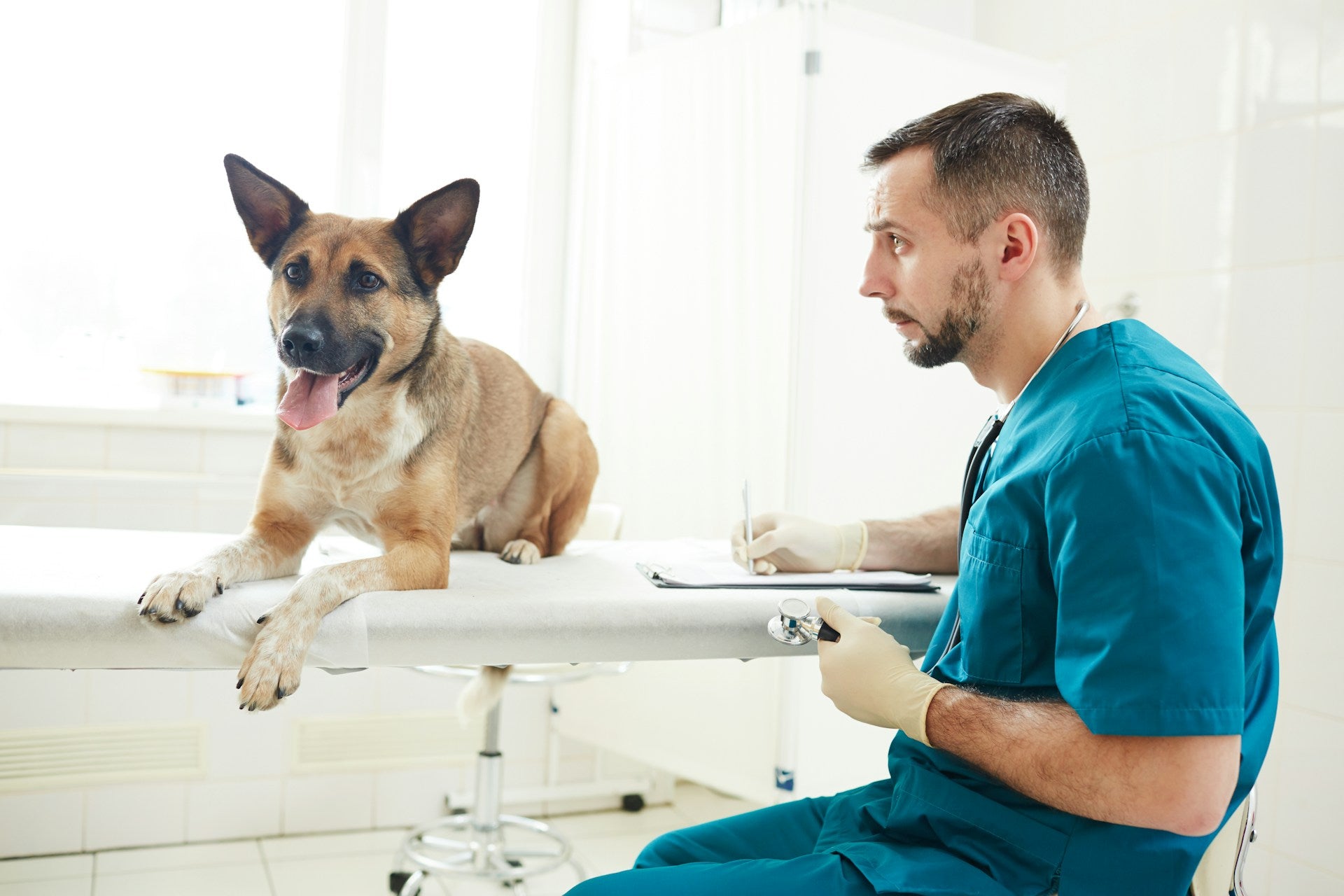 veterinary practices