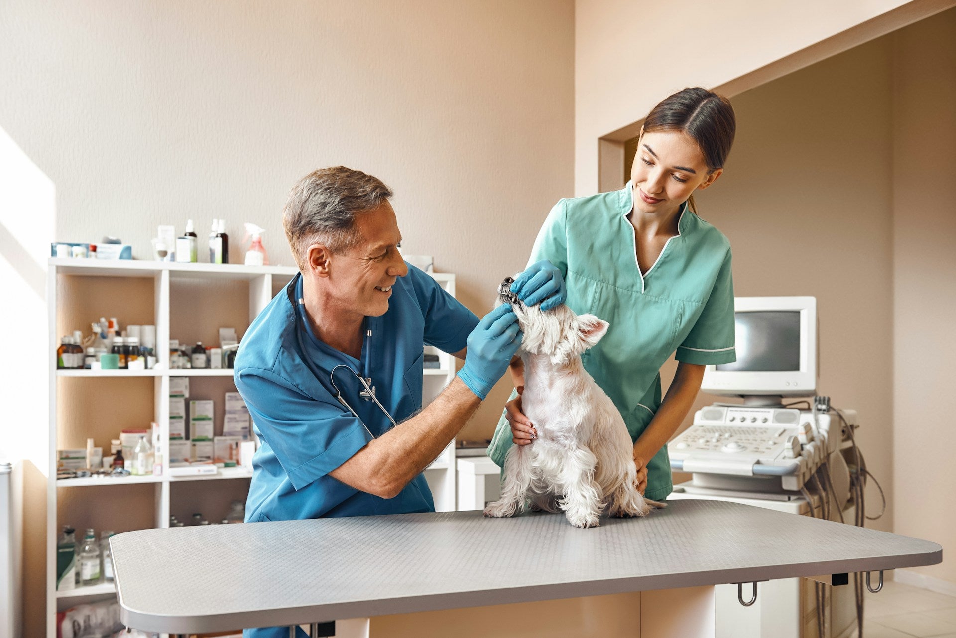 vet clinic