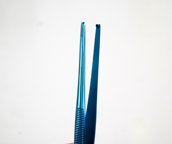 ProNorth Tissue Forcep 15cm, 1x2 BLUE