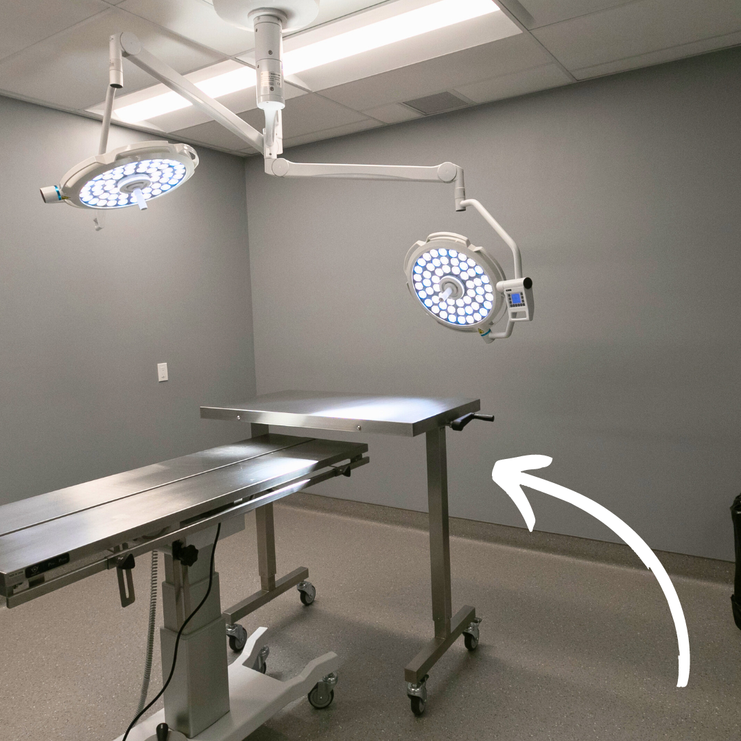 Over-the-Patient Instrument Table (OTPIT)