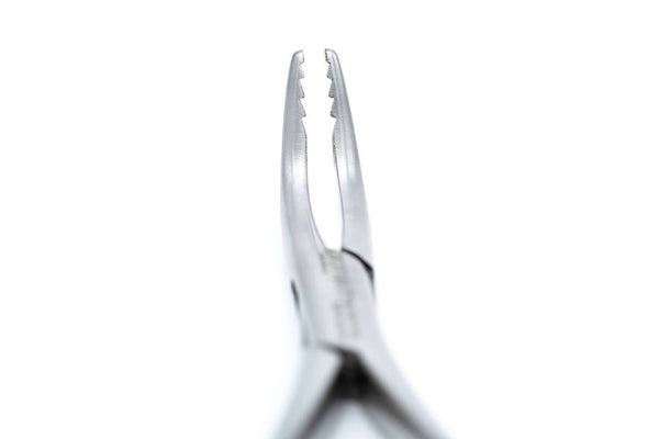 Big Gripper Extracting Forcep ProNorth Medical 