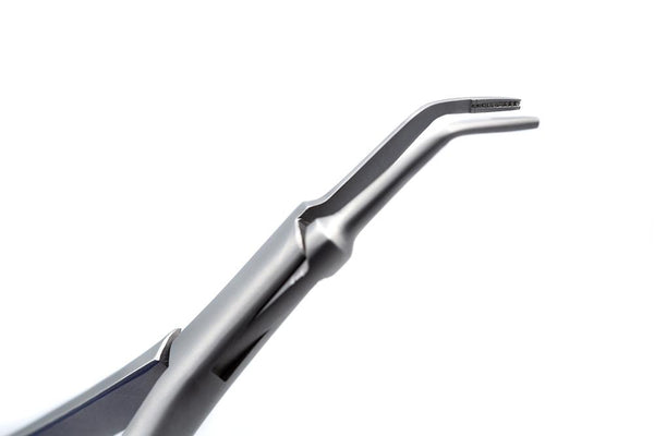 Angled Root Tip Forceps FORCEPS ProNorth Medical Corporation 